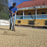 La Meneghina - Miscela di Caffè Espresso con Note di Frutti di Bosco e Cacao