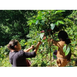 Messico - Nahua - Slow Food CC - Specialty Coffee - Grani | 360Caffe Shop