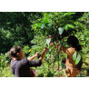 Messico - Nahua - Slow Food CC - Specialty Coffee - Grani | 360Caffe Shop