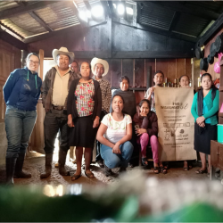                     Messico - Nahua - Slow Food CC - Specialty Coffee - Ground Napoletana | 360Caffe Shop
                  